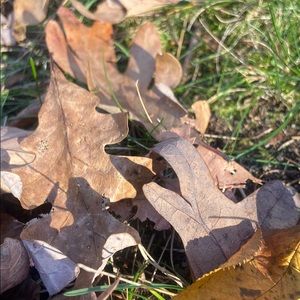 Meet your Posher, Arnoldo